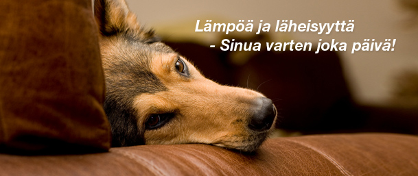 L&auml;mp&ouml;&auml; ja l&auml;heisyytt&auml; - Sinua varten joka p&auml;iv&auml;!